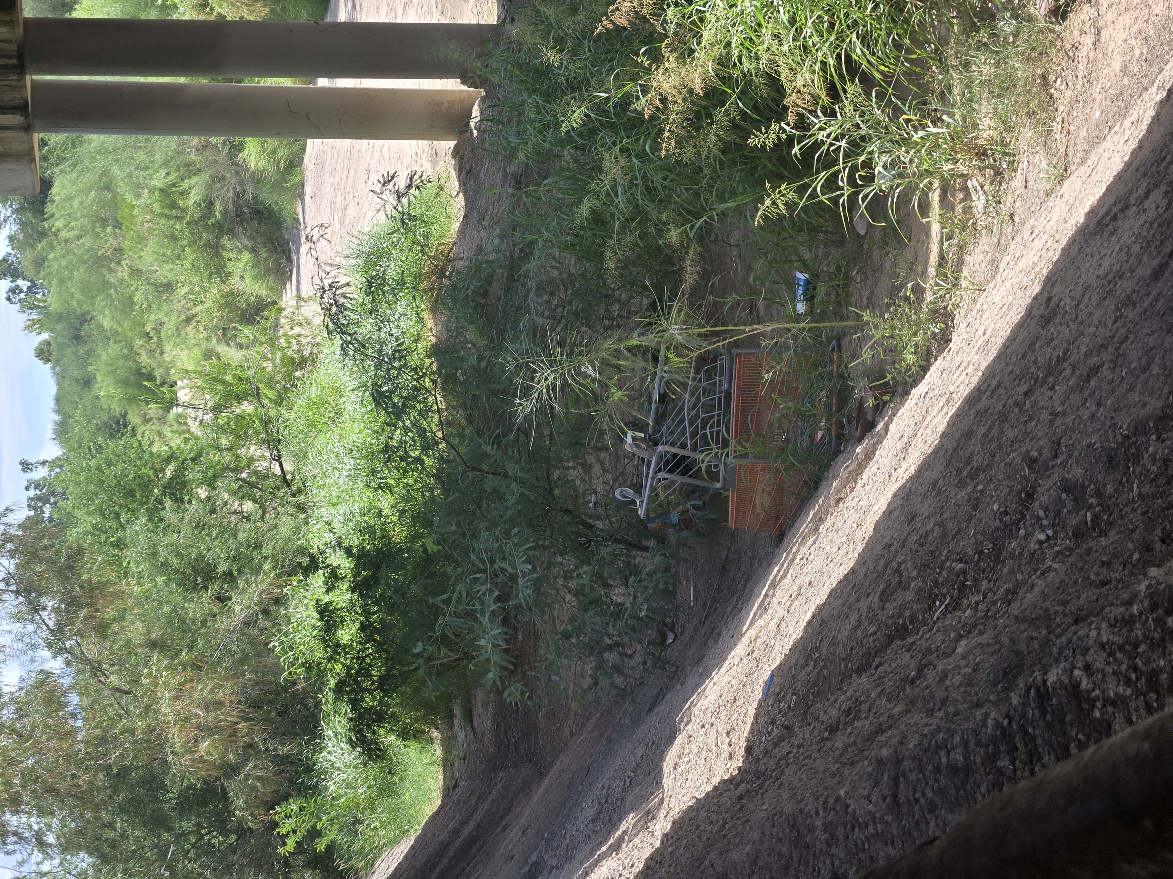 Trash along the wash before cleanup